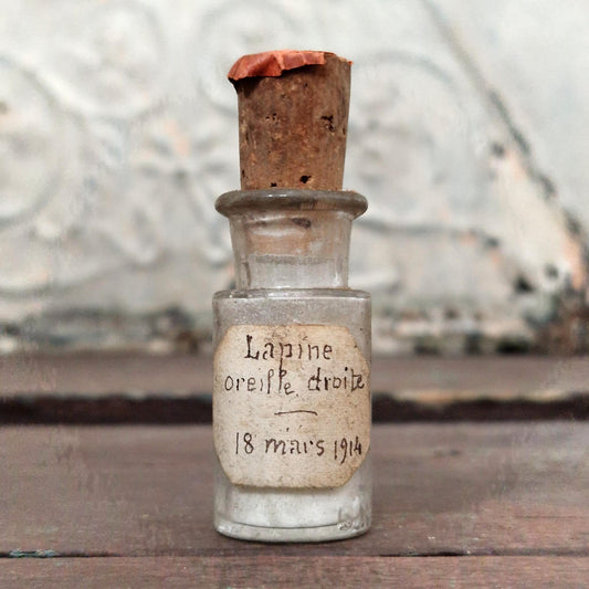 Old vial "Lapine - right ear", 1914 (f13)