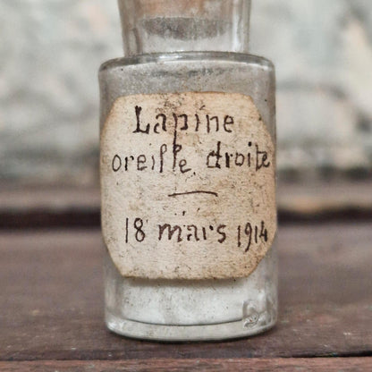 Ancienne fiole « Lapine - oreille droite », 1914 (f13)
