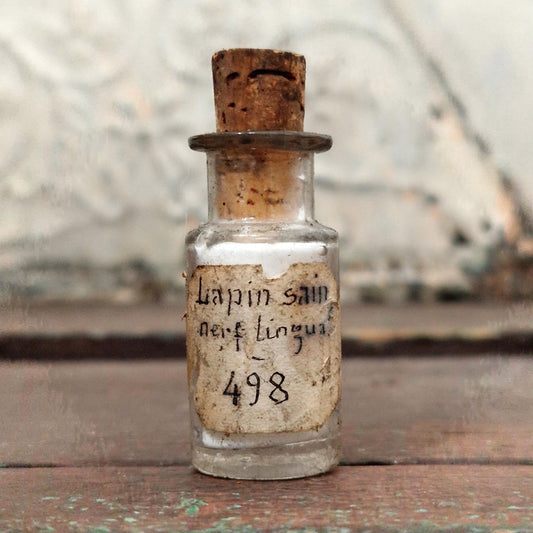 Old laboratory bottle "Healthy rabbit - lingual nerve" (f17)