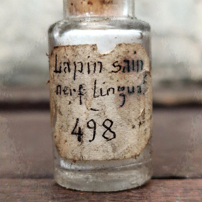 Old laboratory bottle "Healthy rabbit - lingual nerve" (f17)