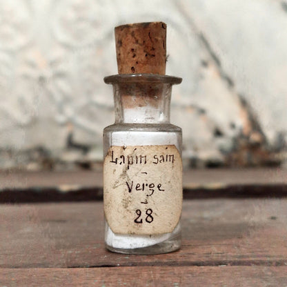 Old laboratory bottle "Healthy Rabbit - Penis", no. 28 (f5)