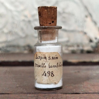 "Healthy Rabbit - Lumbar Marrow" preparation vial (f10)