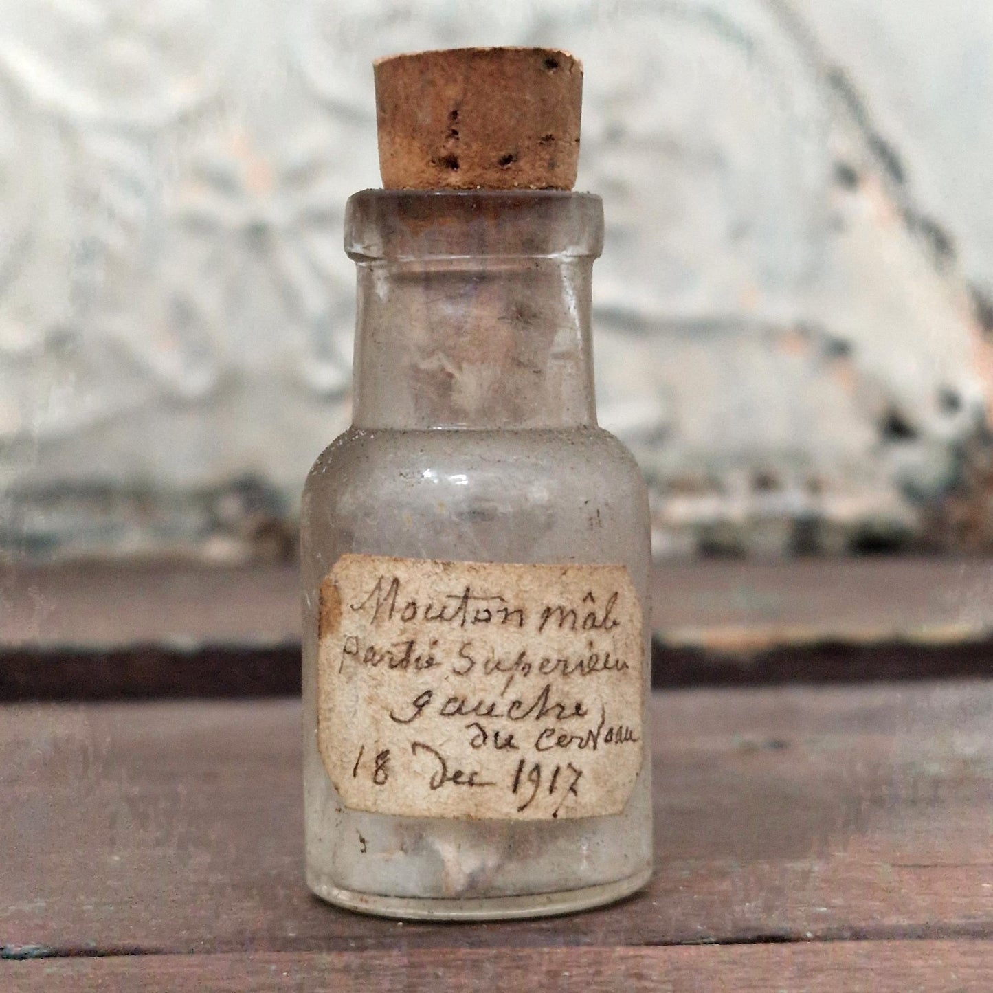 Vial "Male sheep - left part of the brain", 1917 (f15)