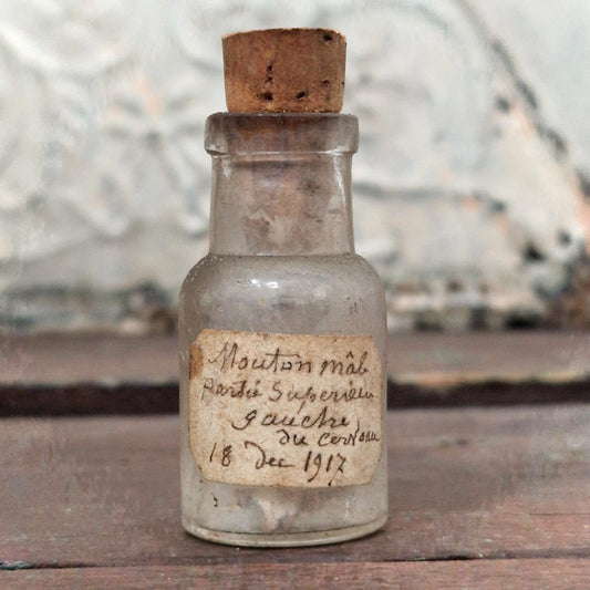 Vial "Male sheep - left part of the brain", 1917 (f15)