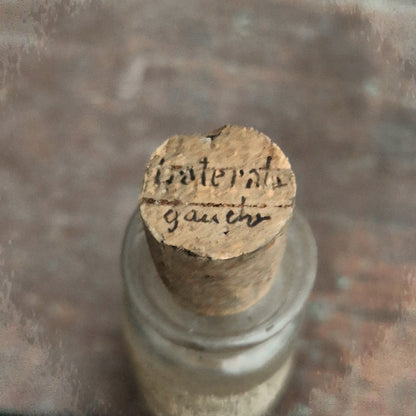 Vial "Male Sheep - Left Part of Brain", 1917 (f11)