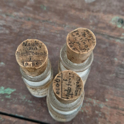 Bottles of anatomical preparations "Healthy sheep" (l1)
