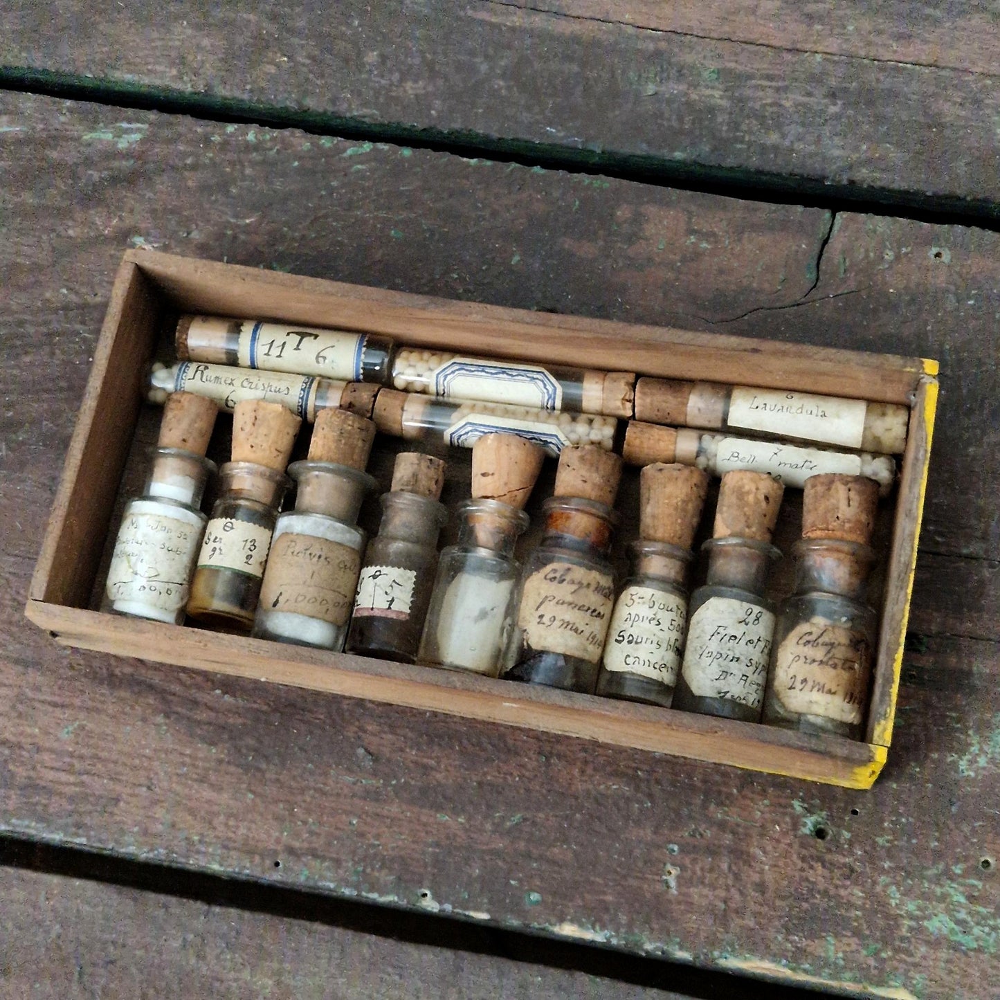Cabinet of curiosities: pharmaceutical vials and tubes (c4)