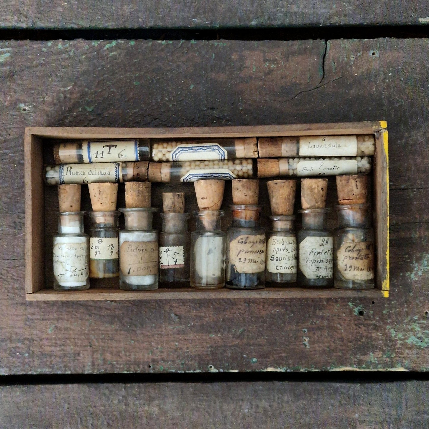 Cabinet of curiosities: pharmaceutical vials and tubes (c4)