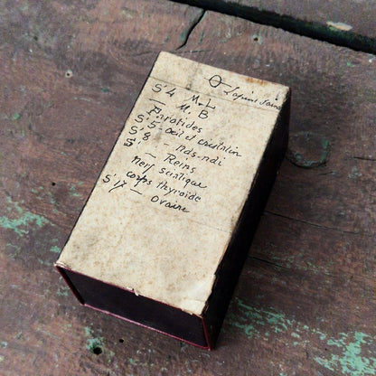 Boîte avec « 10 Tubes homéopathiques manuscrits » (c10)