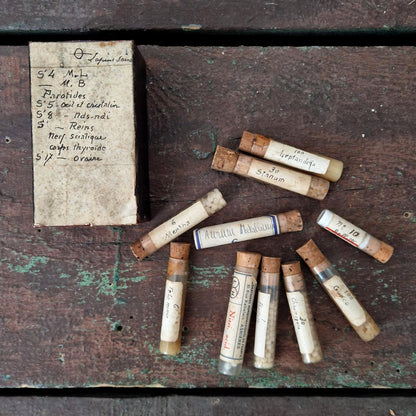 Boîte avec « 10 Tubes homéopathiques manuscrits » (c10)