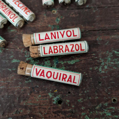 Lot de 10 tubes homéopathiques « Les Homéodraineurs »
