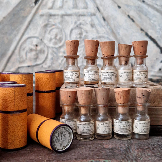 10 mini fioles homéopathiques dans leur étui (l31)