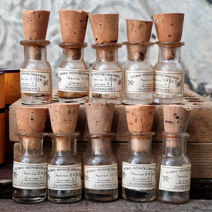 10 mini fioles homéopathiques dans leur étui (l31)