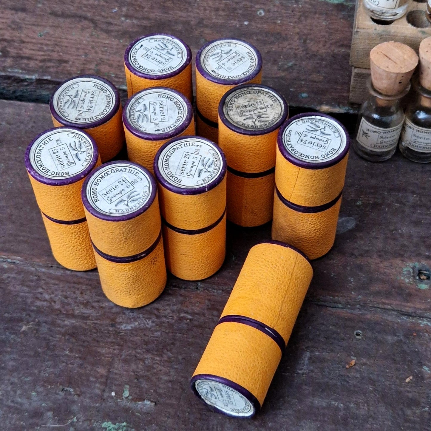 10 mini fioles homéopathiques dans leur étui (l31)