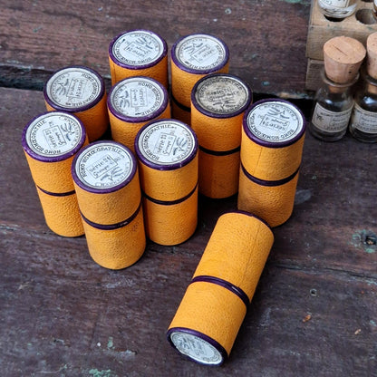 10 mini fioles homéopathiques dans leur étui (l31)