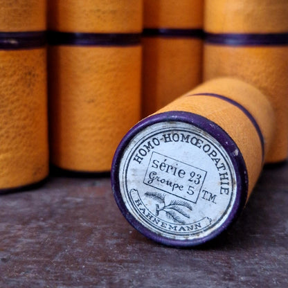10 mini fioles homéopathiques dans leur étui (l31)