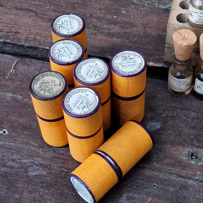 7 mini fioles homéopathiques dans leur étui (l30)