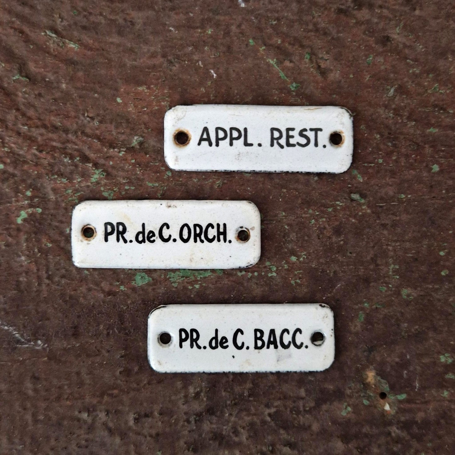 Set of 3 small enameled plates