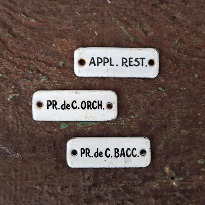 Set of 3 small enameled plates