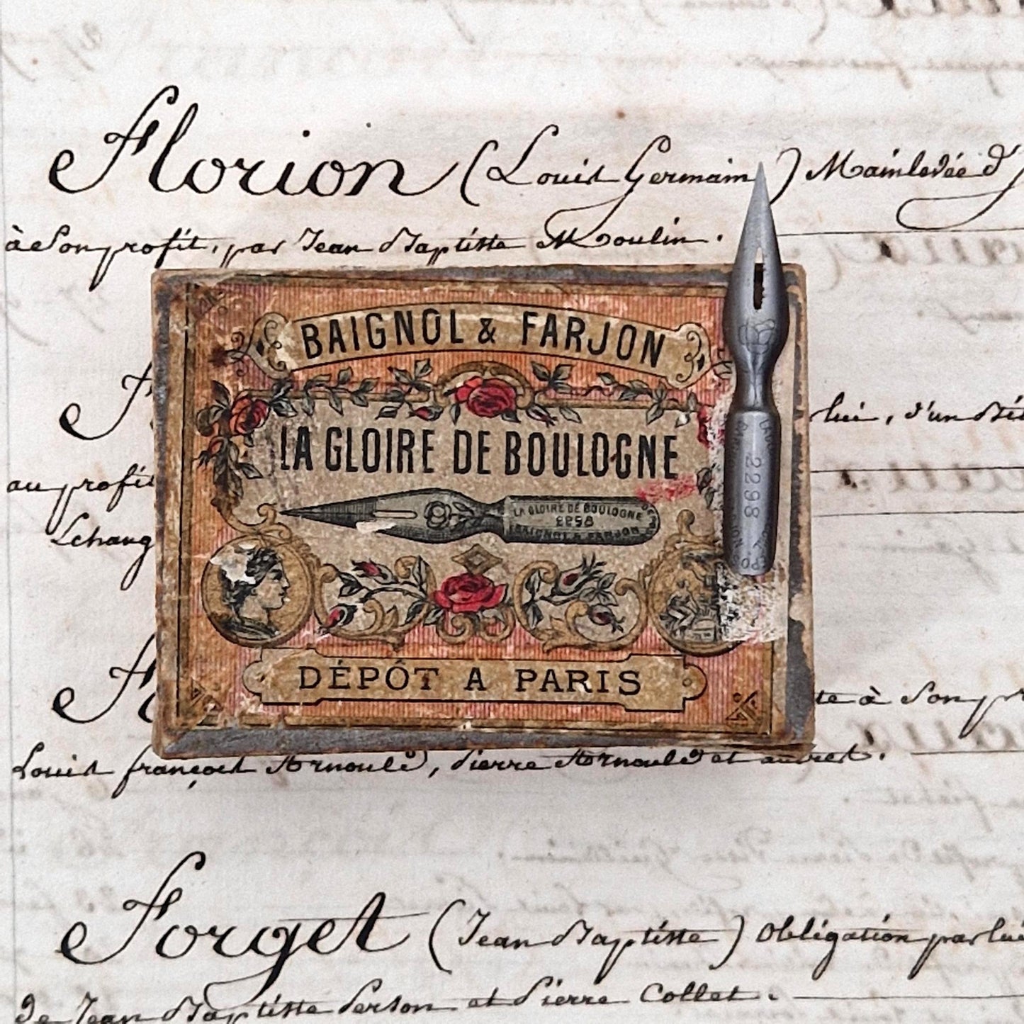 Plumes « La Gloire de Boulogne » - Baignol & Farjon