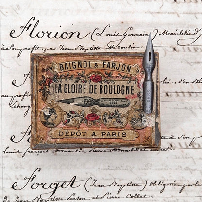 Plumes « La Gloire de Boulogne » - Baignol & Farjon
