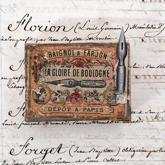 Plumes « La Gloire de Boulogne » - Baignol & Farjon