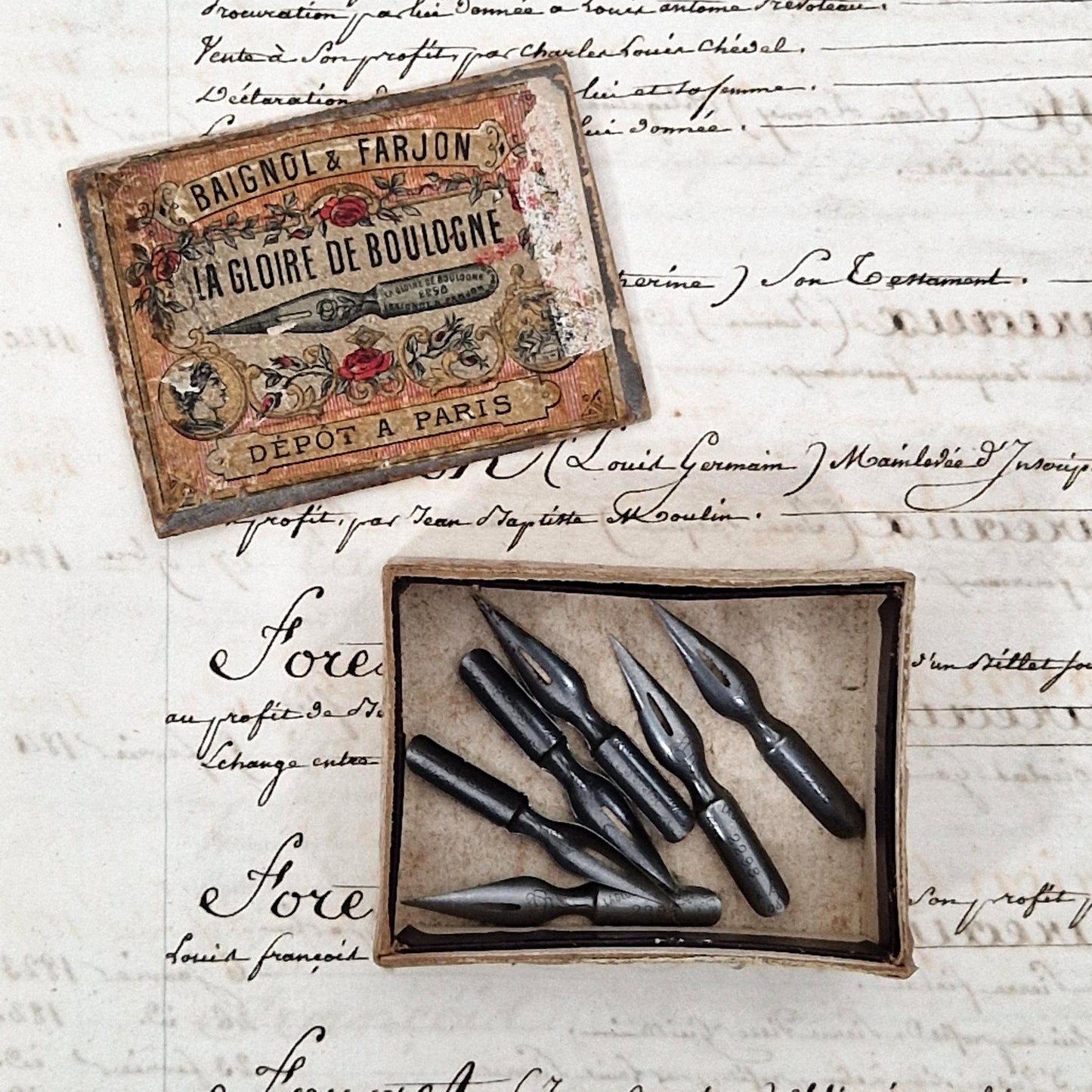 Plumes « La Gloire de Boulogne » - Baignol & Farjon