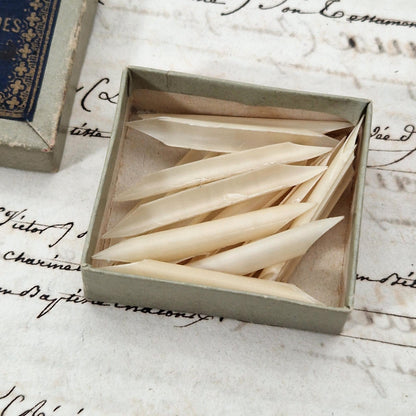 Rare boîte de becs de plumes d'oie taillés au canif - XIXe