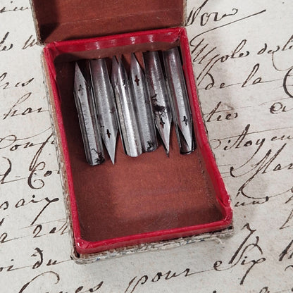 "Microscopic" Pen Box - Blanzy Poure & Cie