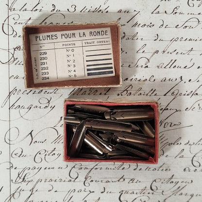 Box of nibs no. 231 - Nib no. 2 - Blanzy Poure