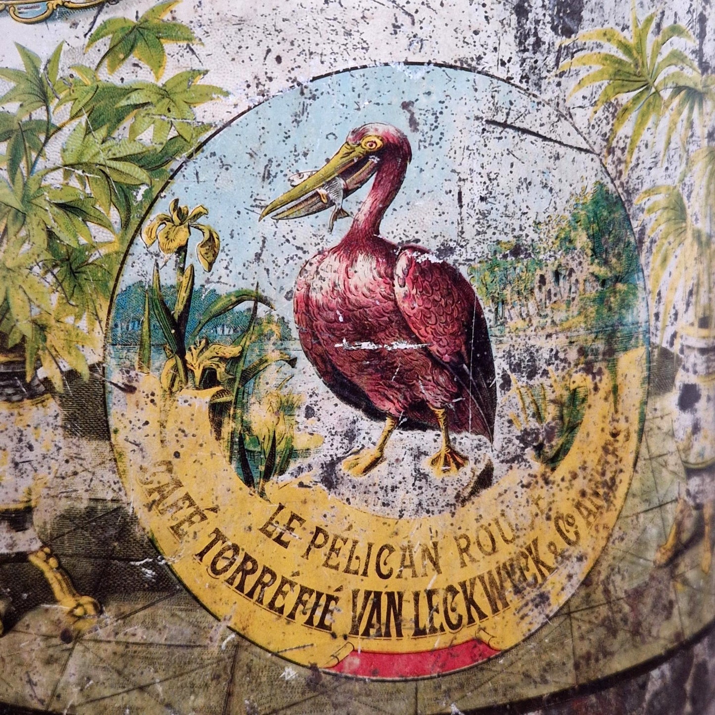 Rare grande boîte d'épicerie « Pélican Rouge » - 1899