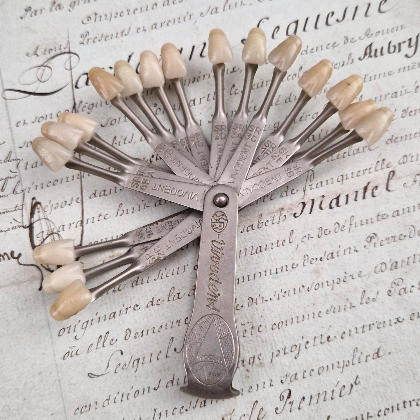Ancien teintier / nuancier dentaire Vivodent