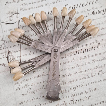 Ancien teintier / nuancier dentaire Vivodent