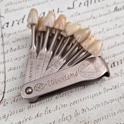 Ancien teintier / nuancier dentaire Vivodent