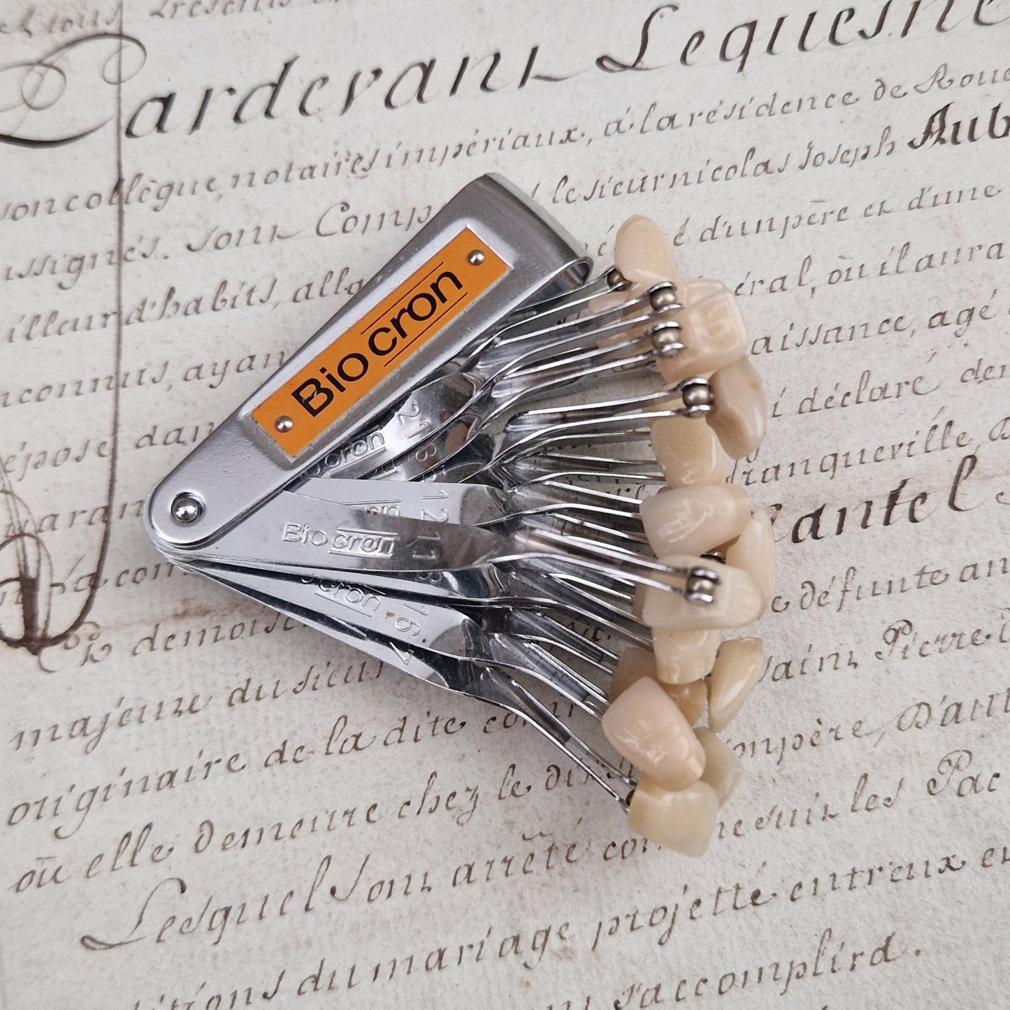Nuancier de dentiste ancien - Biocron