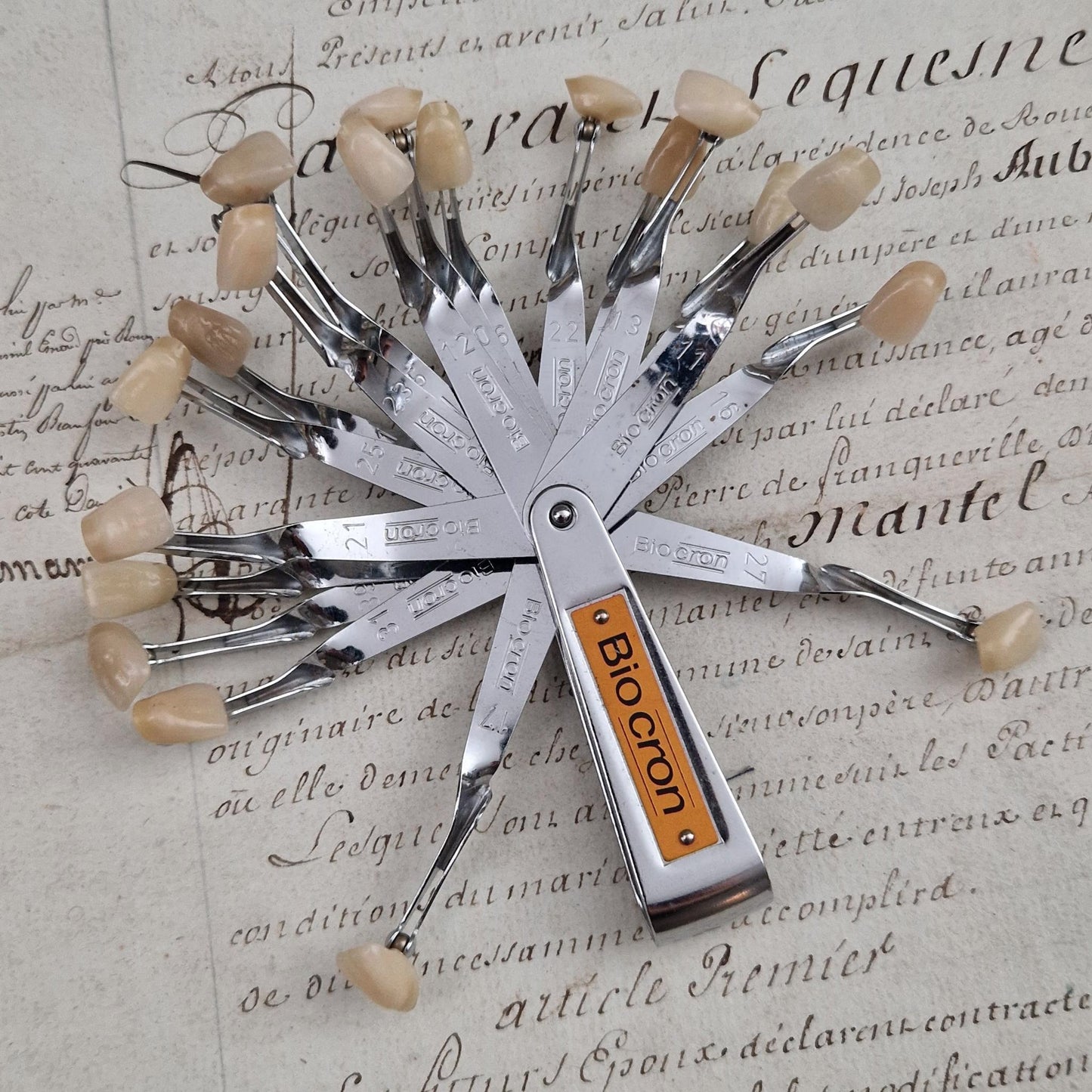 Nuancier de dentiste ancien - Biocron