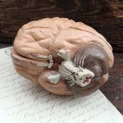 Rare modèle anatomique de cerveau humain, vers 1900