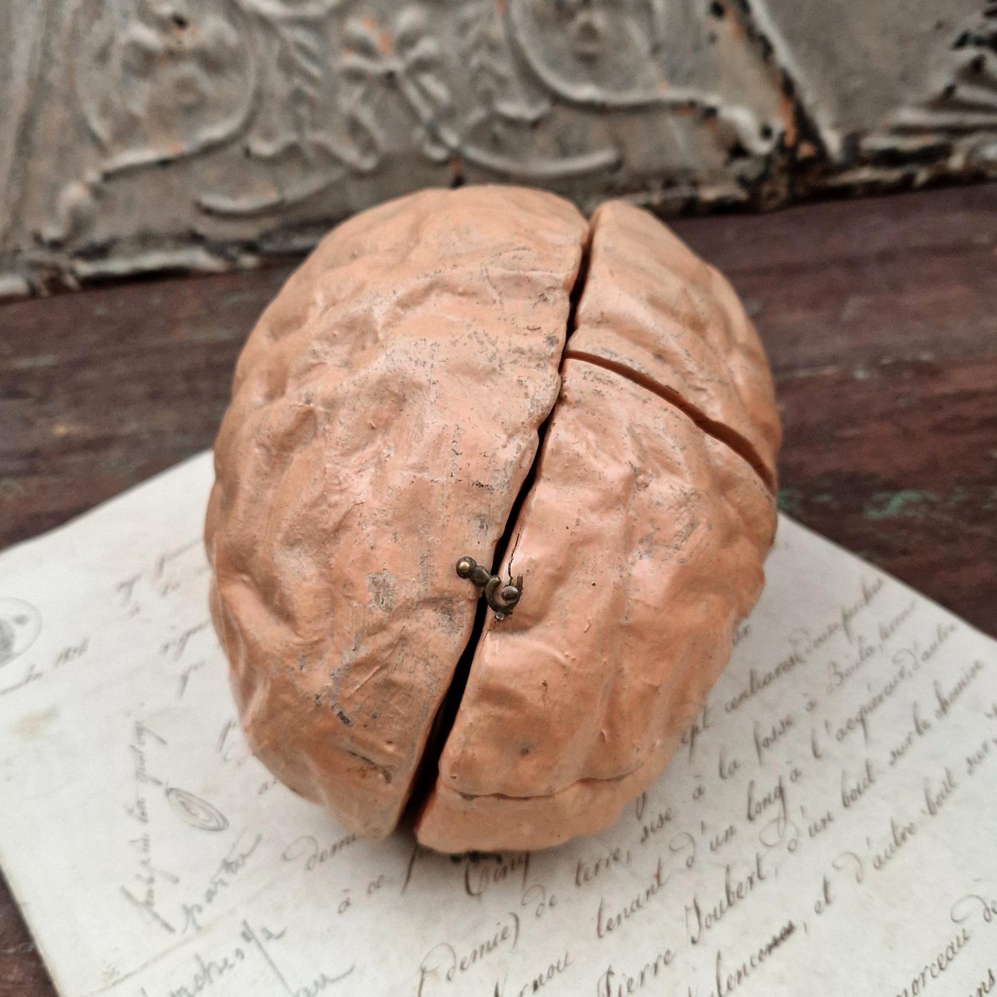 Rare modèle anatomique de cerveau humain, vers 1900