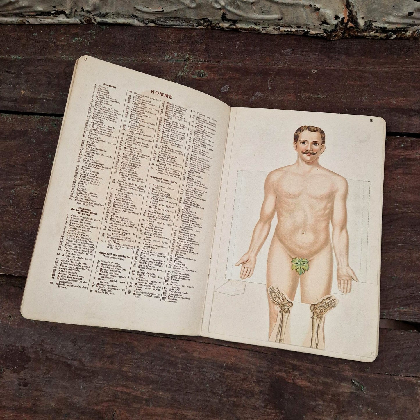 Atlas anatomique du Docteur Vernon - Livre à systèmes