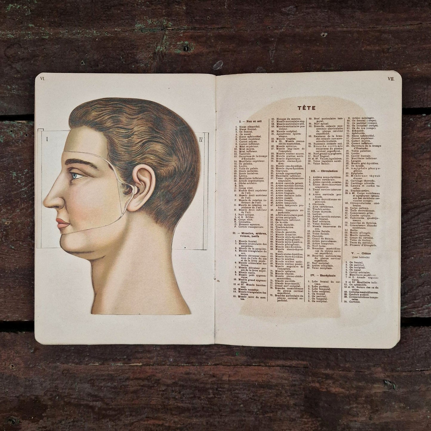Atlas anatomique du Docteur Vernon - Livre à systèmes