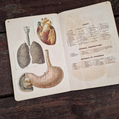 Atlas anatomique du Docteur Vernon - Livre à systèmes