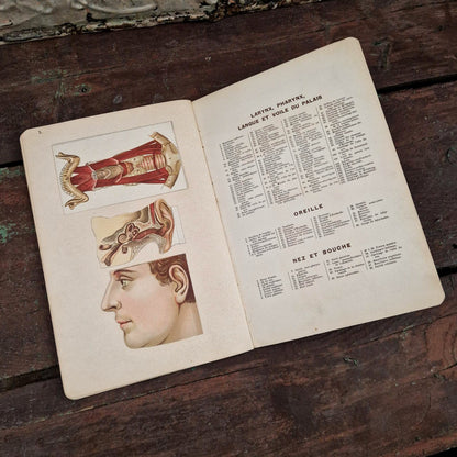 Atlas anatomique du Docteur Vernon - Livre à systèmes