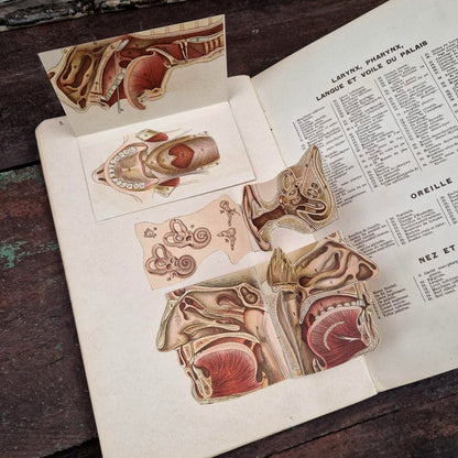 Atlas anatomique du Docteur Vernon - Livre à systèmes