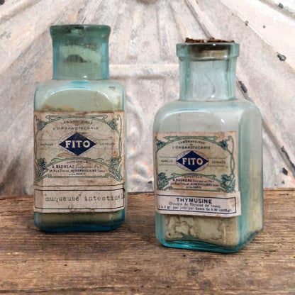 Lot de 2 flacons « Muqueuse Intestinale & Thymusine - FITO »