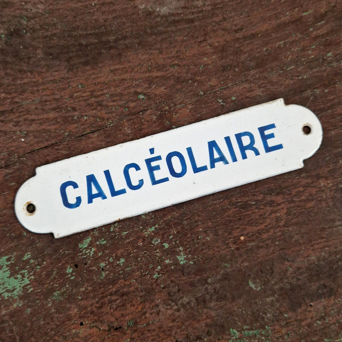 Plaque émaillée botanique « Calcéolaire »