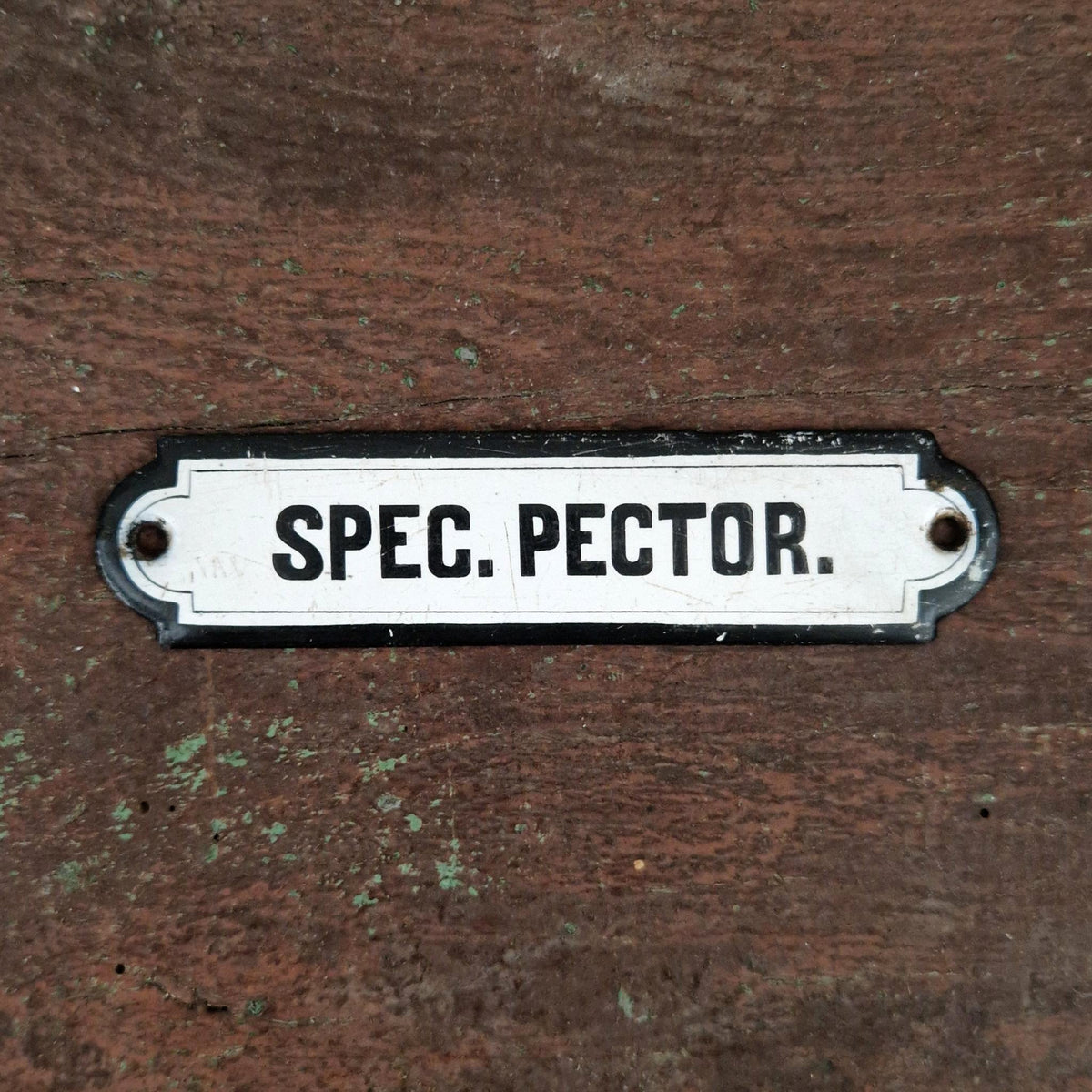 Plaque émaillée pharmaceutique « Spec. Pector. »