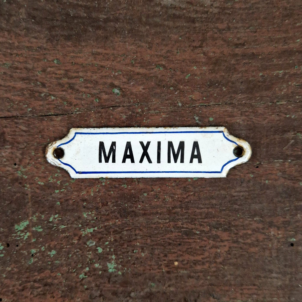 Ancienne plaque émaillée « MAXIMA »