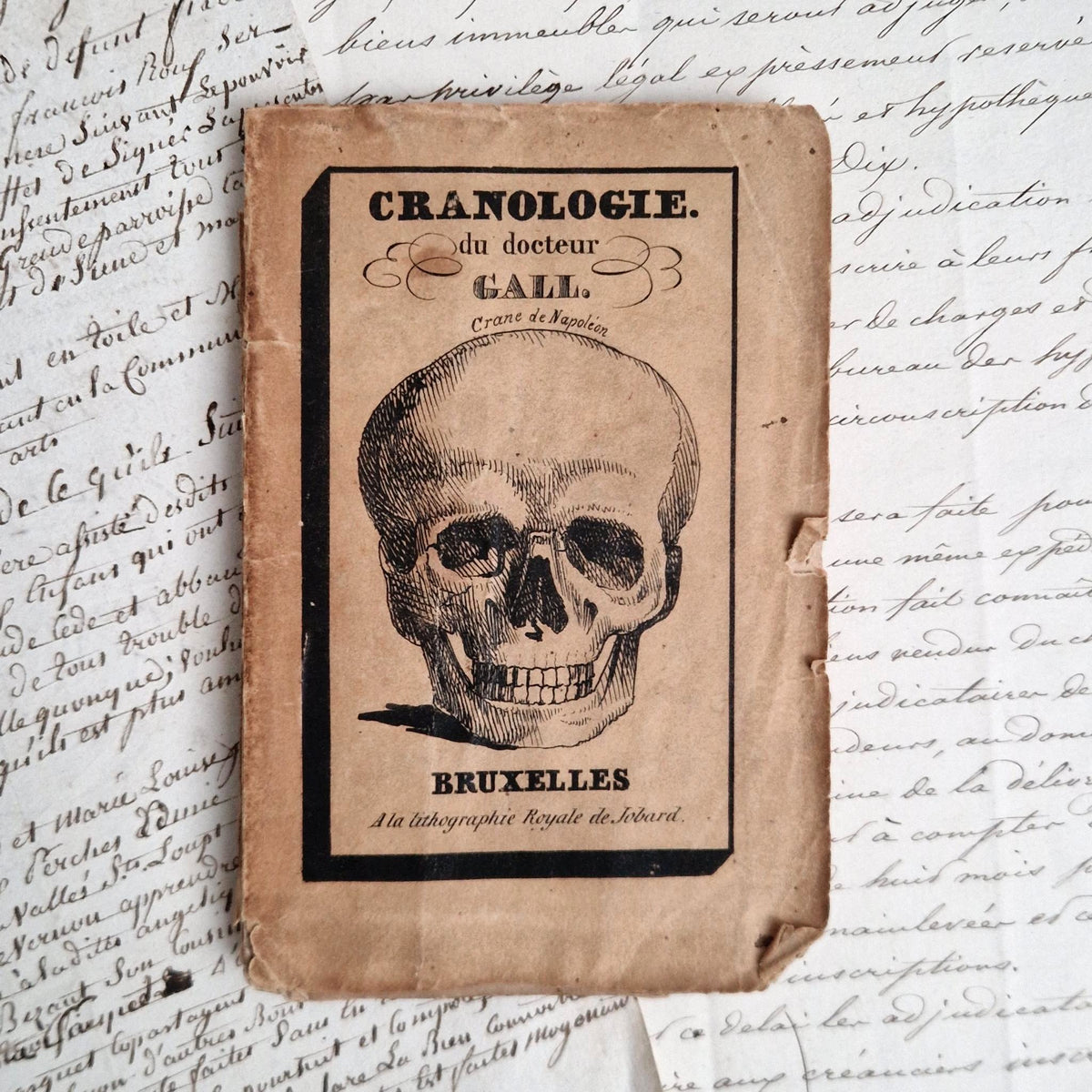Rare Livre Cranologie du Docteur Gall - 1828