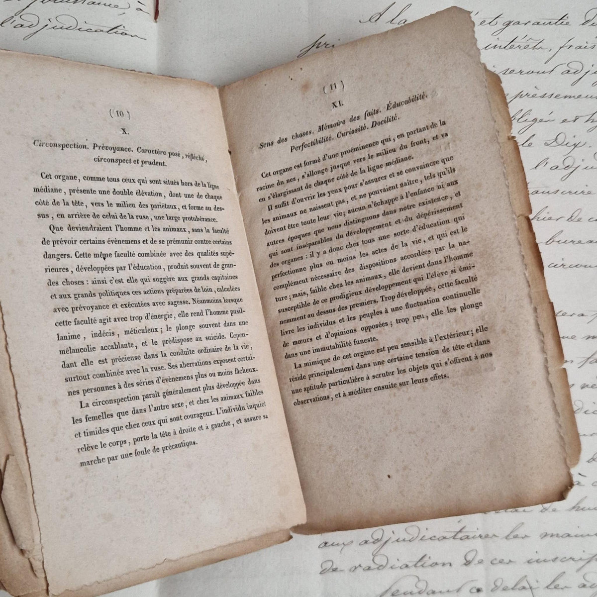 Rare Livre Cranologie du Docteur Gall - 1828