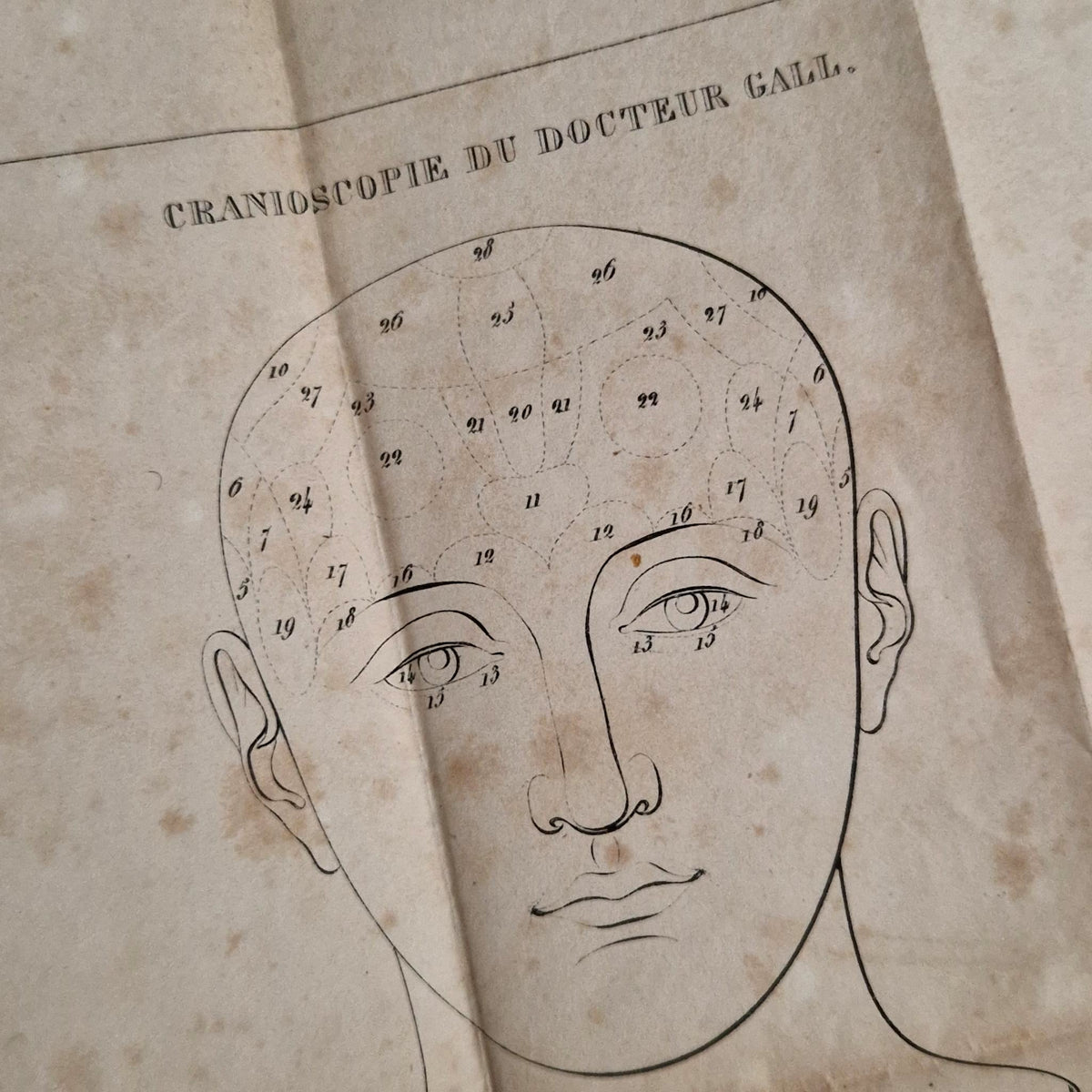 Rare Livre Cranologie du Docteur Gall - 1828